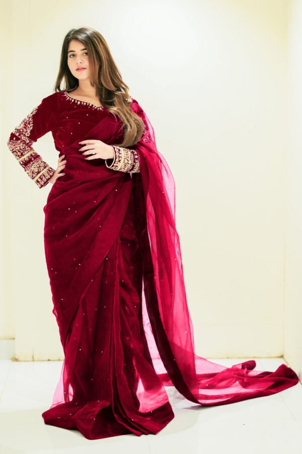Chiffon Saree - Silk Blouse and Chiffon Saree